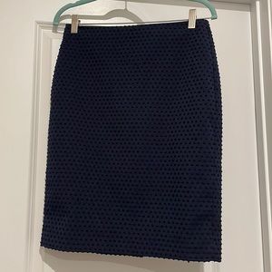 Banana Republic Pencil Skirt